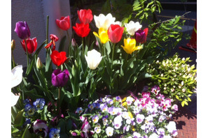 【MOVIEブログ】4月7日～13日のつれづれ日記 画像