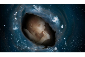 2006年を占う映画 vol.2　エコロジー系のおしゃれさんに『グレート・ビギン』 画像