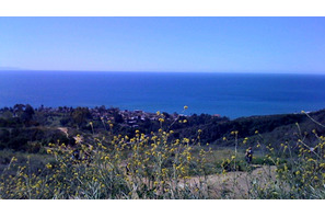 2008年のハリウッド・セレブは“ママ・ブーム” 画像