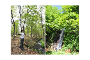 スパ＆森林セラピーで究極のデトックス体験！ 妙高高原に2泊3日のビューティトリップ 画像