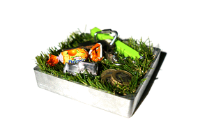 デスク周りに「小さな公園」　癒され効果満点のボタニカルなインテリア 画像