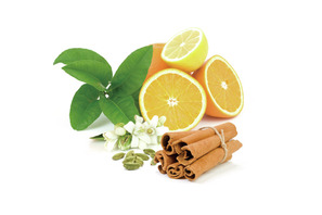 漢方ビューティーイベント開催！ 漢方の力で冷え・乾燥を徹底ケア 画像