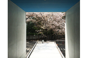 【MOVIEブログ】告白は仕事の後に 画像