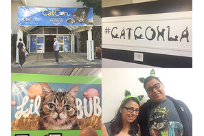 【ハリウッドより愛を込めて】猫好き大集合！ “キャット・コンLA”とは…？ 画像