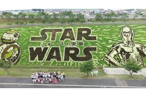 『スター・ウォーズ』田んぼアート、公式“見ごろ宣言”！ 世界へと発信 画像