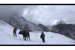 【MOVIEブログ】2015 コンペ作品紹介（4／5） 画像