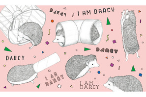 “世界一有名なハリネズミ”、ユーモラスな絵本に！ 画像