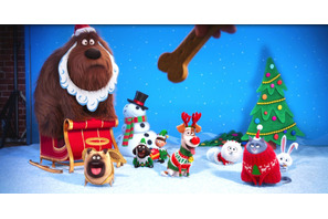【特別映像】『ミニオンズ』スタッフが贈る『ペット』、爆笑クリスマス撮影の様子が明らかに 画像