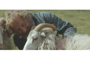 【シネマVOYAGE】アイスランドの美しい自然で描かれる兄弟の絆『ひつじ村の兄弟』 画像