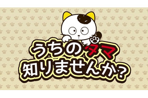 「うちのタマ知りませんか」アニメ化決定！35周年に向けて新展開も 画像