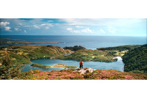 【特別映像】緑豊かなアイルランドの大自然を堪能！『フラワーショウ！』 画像