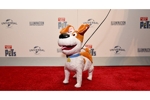 『ペット』世界で大ヒット！早くも続編の公開日が決定 画像