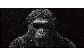 『猿の惑星』最新作、人類vs猿たちの大戦記“グレート・ウォー”来年公開決定 画像
