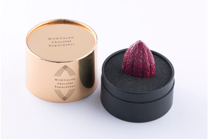 ボンボン・ショコラをより深く味わう方法！ 辻口シェフ考案ショコラ用カッティングツール発売 画像