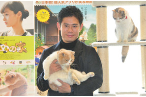 「実は犬を飼ってる」伊藤淳史、猫カフェで猫にメロメロ！ 画像