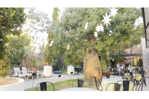 緑に囲まれながらいただきたい、休日ごはん。「代々木VILLAGE by kurkku」 画像