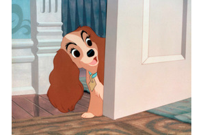 『わんわん物語』が実写化！劇場公開せず配信へ 画像