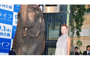 土屋アンナがゾウ同伴でカーペット闊歩！ 画像