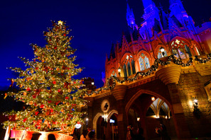 【ディズニー】生木のツリーに心温まる、35周年のランドのクリスマス 画像