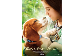 見つめ合う少女と犬の姿…幸せな涙溢れる予感の『僕のワンダフル・ジャーニー』ポスター 画像