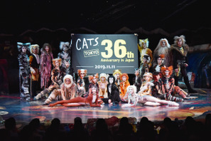 劇団四季「キャッツ」日本上演36周年、特別カーテンコール実施 画像