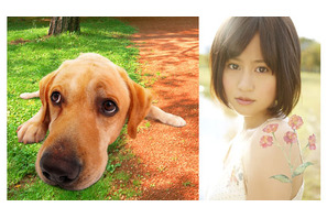 大の犬好き、前田敦子が『LOVE　まさお君が行く！』主題歌を担当！ 画像