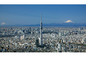 東京スカイツリーが早くも映画化！　2羽のハト目線で、その秘密に迫る 画像