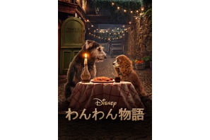 実写版『わんわん物語』映像到着！テッサ・トンプソン「心を奪われること間違いなし」 画像