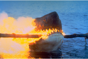 大ヒット海洋パニック第2作『ジョーズ2』が映画天国に登場 画像
