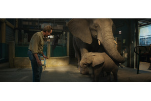 アンジェリーナ「本当にゾウの家族みたい」お揃いコスプレで声の熱演『ゴリラのアイヴァン』 画像