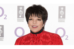 『オズの魔法使』のギンガムチェックワンピースが、来月オークションに出品へ 画像