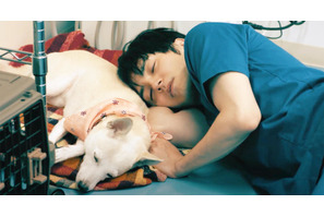 林遣都、保護犬と添い寝…映画『犬部！』中川大志らの場面写真10点解禁 画像