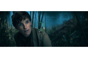 『ファンタビ』最新作、ニフラーたち魔法動物と最高の魔法の新映像解禁！IMAX＆4D上映も決定 画像
