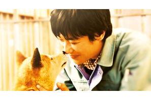 日本中が涙した“感動の実話”『ひまわりと子犬の7日間』試写会に15組30名様をご招待 画像