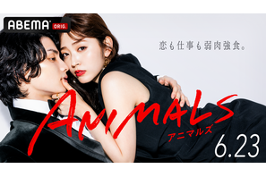 “連ドラ初主演”鈴木愛理、本田響矢＆白洲迅共演で恋と仕事に奮闘…ABEMAドラマ「ANIMALS」 画像