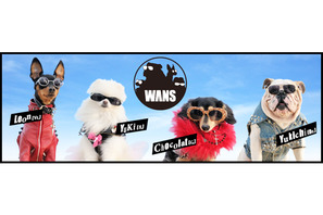 遅咲きの“ロッ犬ロール”バンド「WANS」、雑誌「いぬのきもち」新CMでデビュー!? 画像