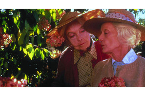 【雅子ブログ】岩波ホールで『八月の鯨』 画像