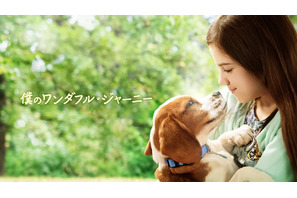 何度でも生まれ変わる感動作『僕のワンダフル・ジャーニー』地上波初放送 画像