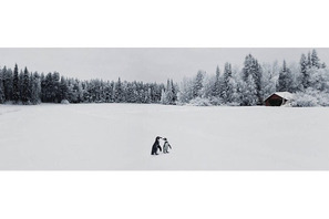 記憶と想像の境界線に広がるあるストーリー　写真家Richの新作展を渋谷で開催 画像