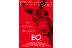 ロバが無垢な眼差しを向ける…イエジー・スコリモフスキ監督最新作『EO』日本版ポスター 画像
