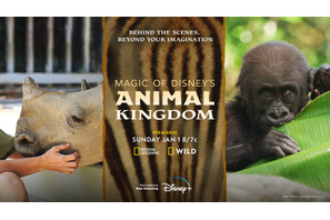 海の生き物やゾウ…動物の世界を覗く3作品、Disney+で配信 画像