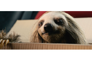 ナマケモノがSNSをチェック？『キラー・ナマケモノ』本編映像 監督インタビューも到着 画像