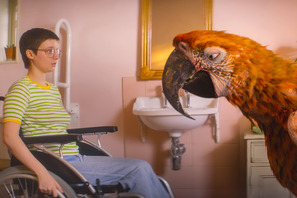 ＜デス＞という名の鳥が最期を告げる…『終わりの鳥』本編映像初解禁 画像