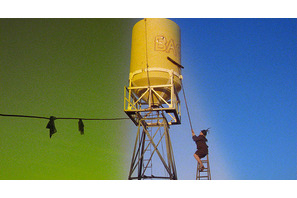 あの名作がデジタルでよみがえる！　「キネ旬ベスト・テン」を全国の劇場で上映 画像