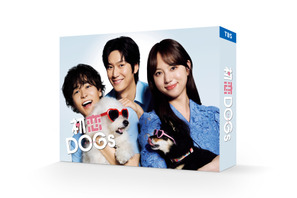 清原果耶×成田凌×ナ・イヌ共演「初恋DOGs」Blu-ray&DVD-BOXが2026年2月27日発売 画像