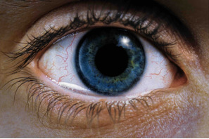 「心が砕ける」「落ち込む映画」第1位、トラウマ級の傑作『レクイエム・フォー・ドリーム』4Kリマスター版公開 画像