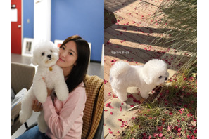女優ソン・ヘギョの“穏やかな秋の日常”。お散歩中の愛犬ルビーが可愛すぎる！【PHOTO】 画像