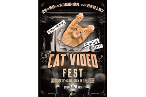 ネコ動画の祭典『CatVideoFest』日本初上映、チケット収益の一部は保護団体へ寄付 画像