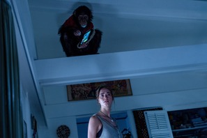 “何かがおかしい”『おさるのベン』全米初登場2位のスマッシュヒット！上田麗奈×諏訪部順一によるTVCM限定吹き替え映像解禁 画像