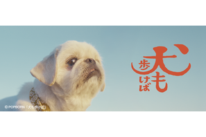フォワー18万人超えの人気犬が前野朋哉と共演、短編映画『犬も歩けば』YouTubeにて公開 画像